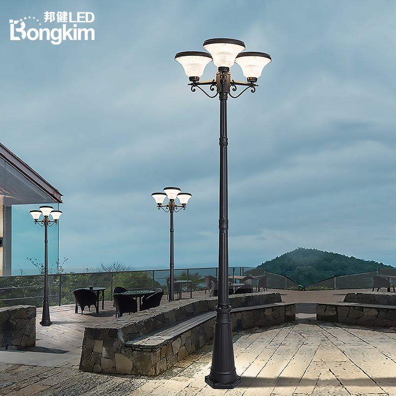 多头高杆太阳能一体化照明庭院灯 户外新农村草坪广场市电路灯