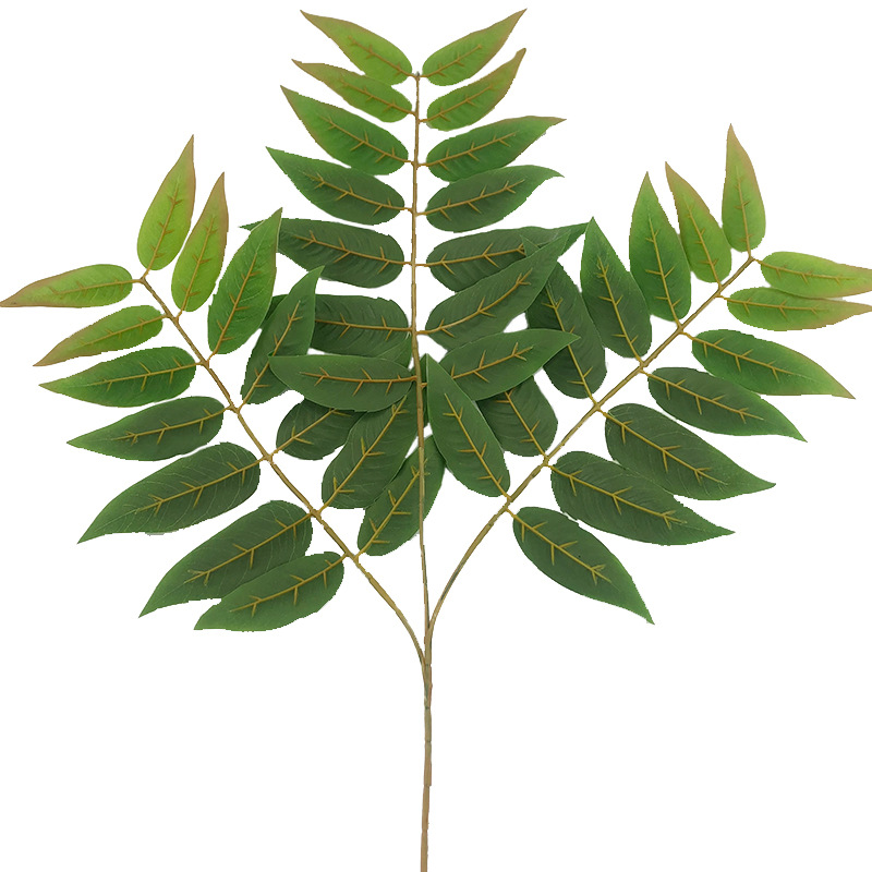 XRB-151天堂叶三叉枝 (5).jpg