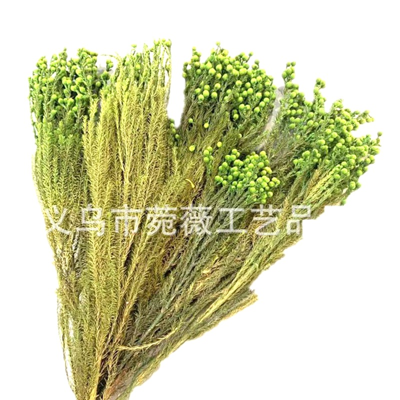 13072383401_1583333284