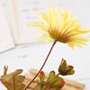 Simulation 6 Furang chrysanthemum single branches fried fireflade chrysanthemum autumn sunflower wedding furnishing flower foreign trade flowers