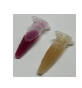 ţ�������ٜy�� ţ�����ؙz�yԇ��