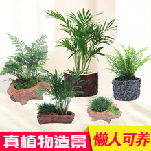 ��������ˮ�ݻ��w�~���b��ײ�ֲ���ˮ�ų�ľˮ�ݵ�ˮ����ˮ����