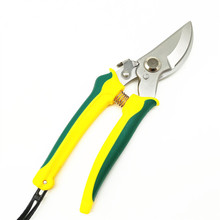 �S�ҬF؛���l7.5��19cm���^늹��� 늾�����֦������֦����