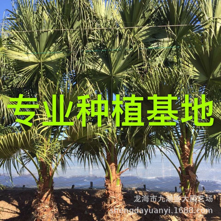 IMG_5467(20200224-232352)