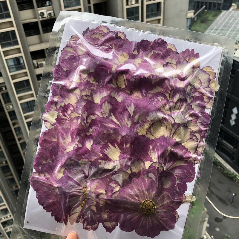 3ef691e0b3206a16c9c595ef77eb5d