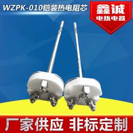WZPK-010铠装热电阻芯 pt100热电阻传感器 装配式热电阻测温芯