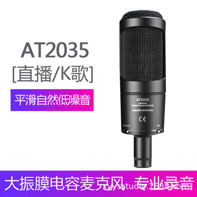 Audio Technica/铁三角 AT2035专业电容麦克风|ru