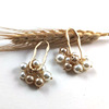 Earrings from pearl, fresh accessory, pendant, internet celebrity, 2022 collection, Japanese and Korean