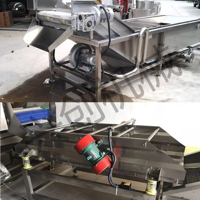 For canning factories grape strawberry Apple Pear clean equipment clean machining fruit Assembly line