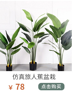 植物关联_021_04.jpg