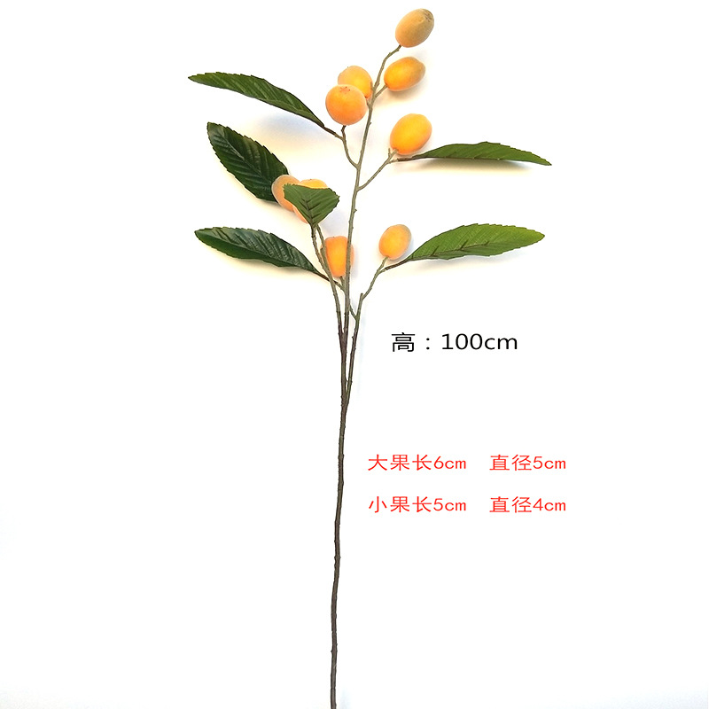 XRG-013 枇杷大3叉枝1米  (5)