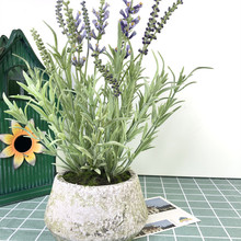 SֱN ާֲ Gֲ滨廨b