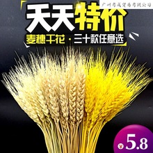 天然麦穗干花真花束开业大麦田园装饰摆件满天星稻穗拍摄道具礼品