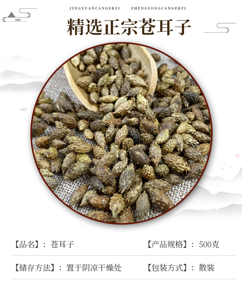 Cang Er Zi Dried Xanthium Fruit 500g Thornless Whole Herb for Decoction and Culinary Use key features