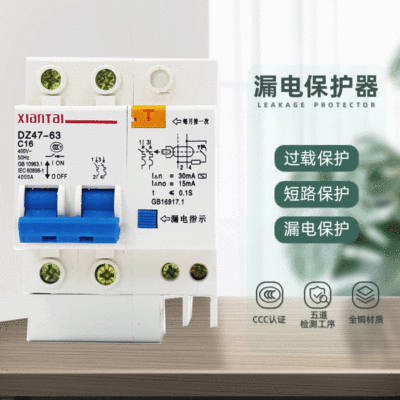 Electric leakage Overload Protector DZ47LE/2P16A 30mA household small-scale Electric leakage Circuit breaker Leakage protection switch