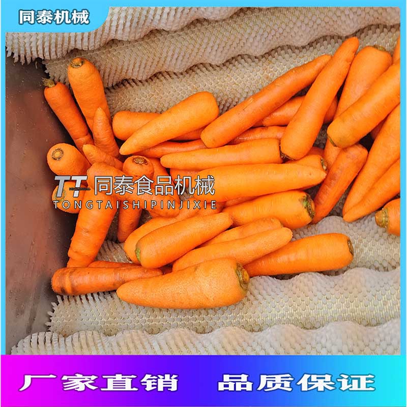 电动胡萝卜清洗机，洗马铃薯红薯青萝卜洋芋毛刷辊清洗机