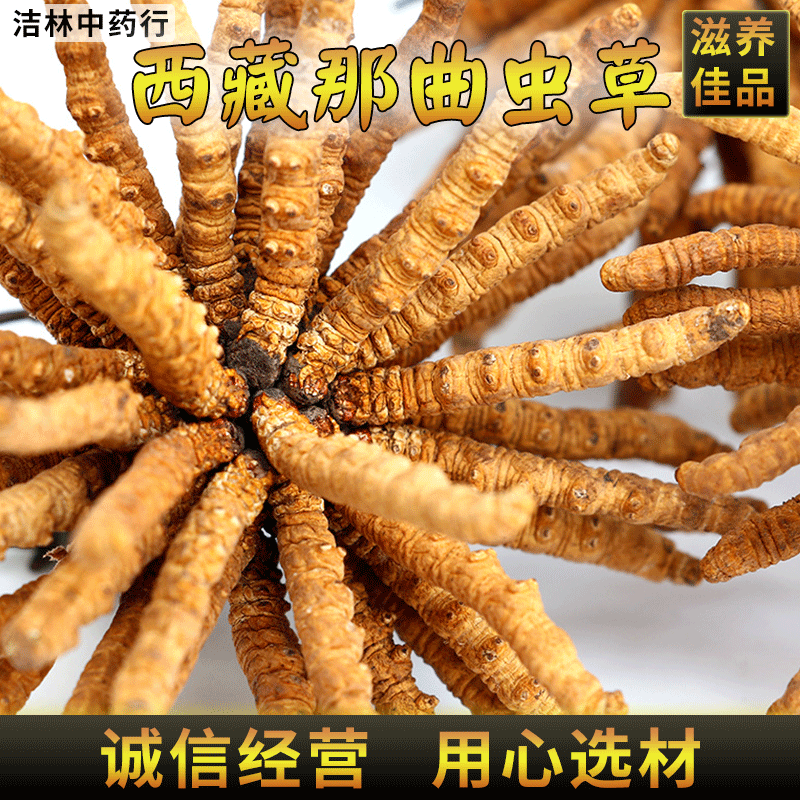 批发 西藏那曲虫草 2000条3000条4000条无断根    断虫草|ru