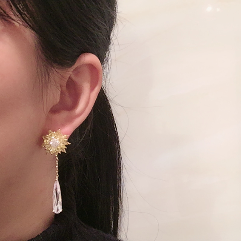 Small Flower Earrings Female Elegant Luxury Micro Inlaid Zircon Long Fringed Water Drop Earrings display picture 2