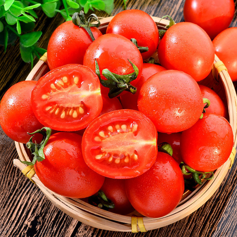 wholesale Season Cherry tomatoes Small tomatoes fresh Cherry tomatoes Vegetables Season fresh fruit