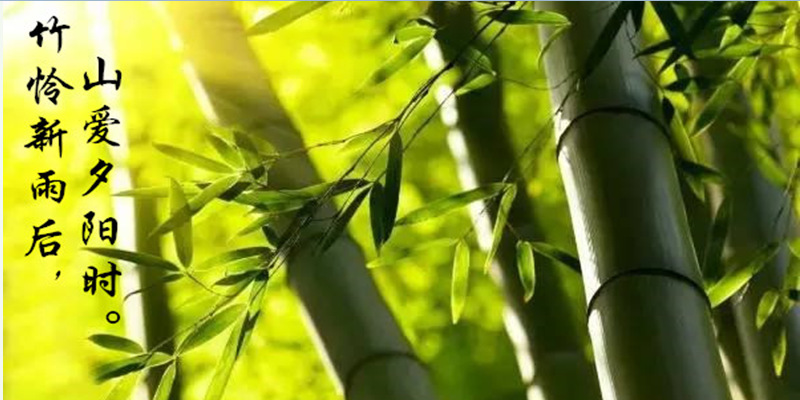 ecff62cac33ec28ee626b8f6340323