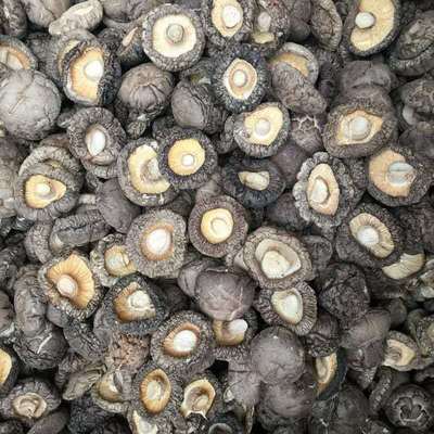 福建新货香菇产地直销香菇干香菇干货500g批发散装农产品香菇干
