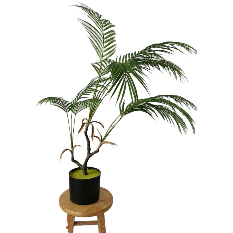 仿真綠植盆栽 辦公室擺件小樹 塑料手感葉60cm90cm散尾珍珠葵