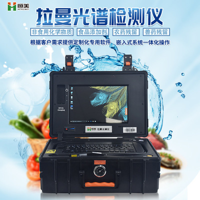 Raman a spectrometer Raman Spectrum testing instrument portable Raman a spectrometer Raman Spectrum Analyzer