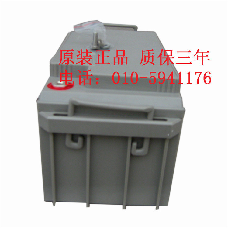 （台达）中达电通蓄电池DCF126-12/100铅酸免维护12V100Ah保三年