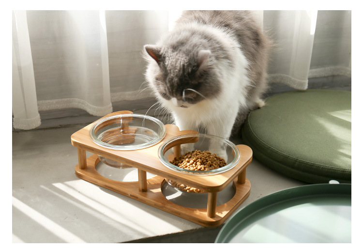 平架玻璃猫碗_17.jpg
