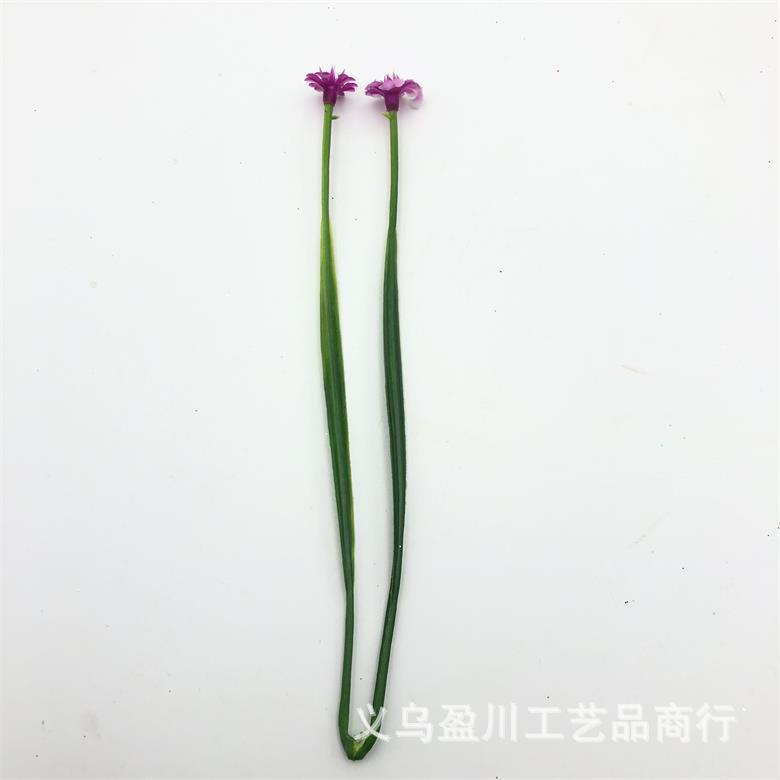 2020-11-06 232330.jpg