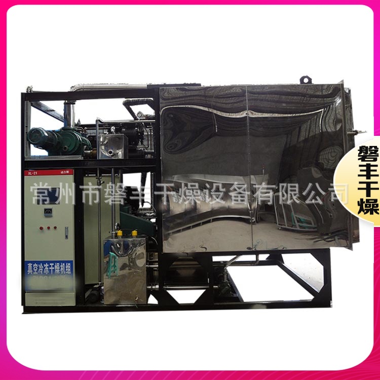 大型冻干机生产厂家果蔬冻干机实验室冻干机低温真空冻干机