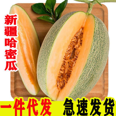 现摘吐鲁番哈密瓜带箱10斤网纹瓜黄心哈密瓜新疆特产新鲜应季水果|ms