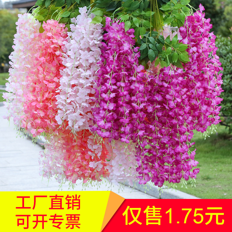 福寿草花 福寿草花批发 促销价格 产地货源 阿里巴巴