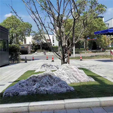 泰山石假山奇石大型园林公园工程造景观赏风景石
