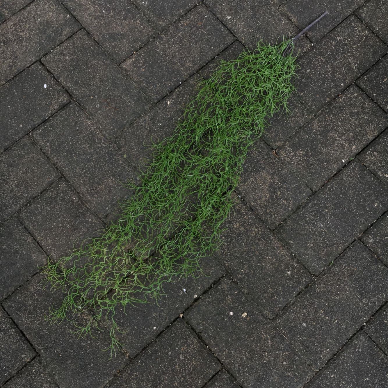 0236856D707EA34B9350997C876DF8