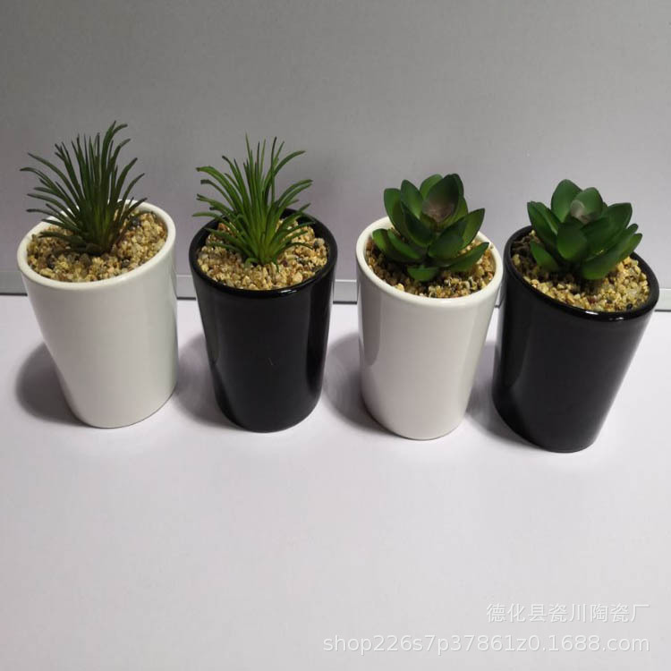 现代陶瓷工艺品多肉花盆家居摆设
