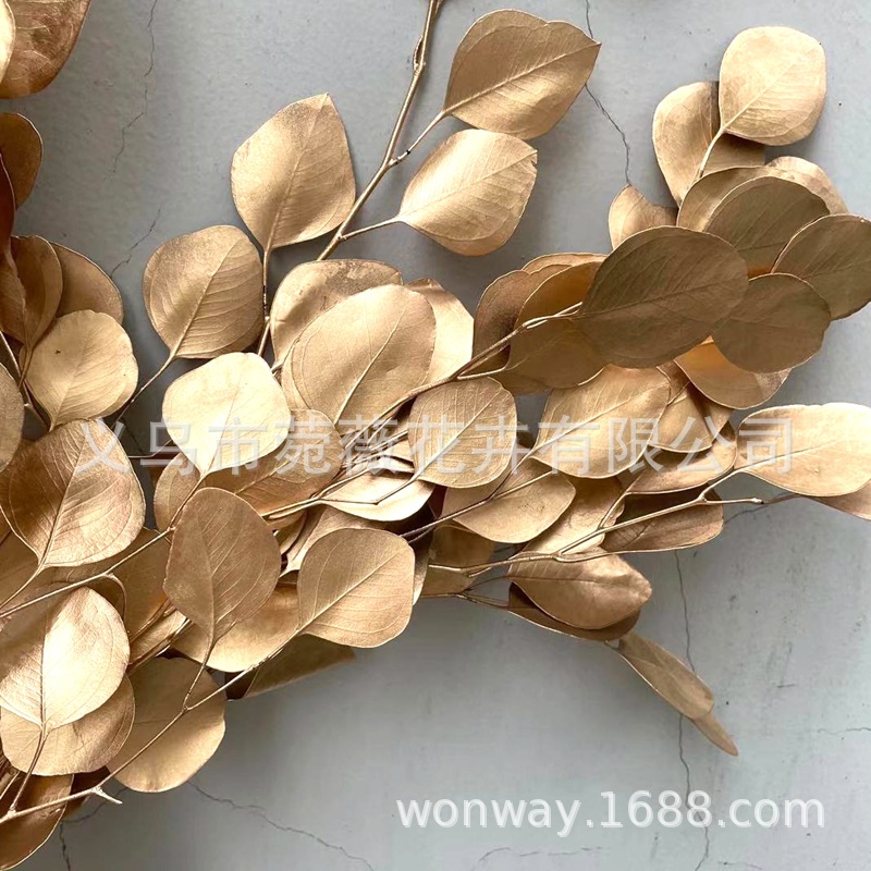 微信图片_20201209193647