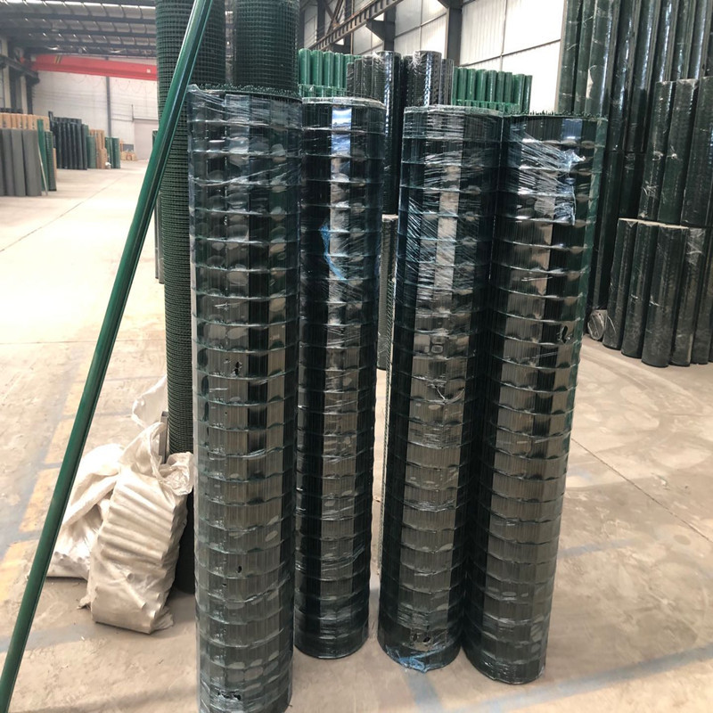 厂家供应现货浸塑荷兰网 果园防护护栏养殖养鸡圈地绿色护栏网