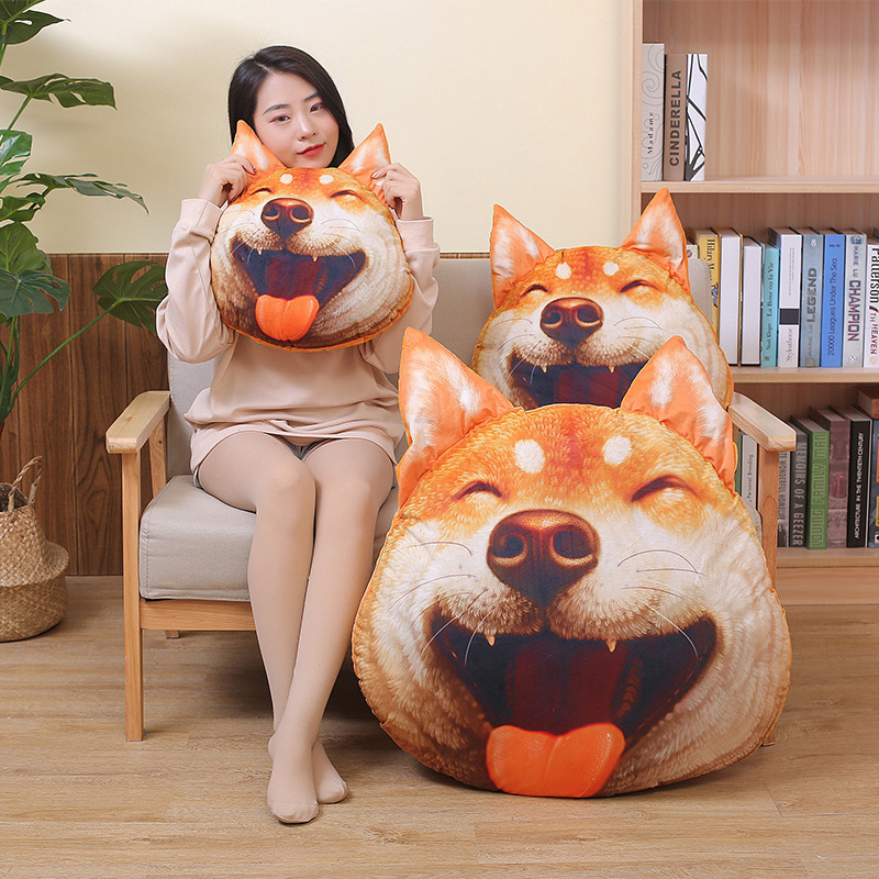 Cartoon pillow