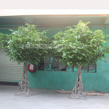 �S��ֱ�N �����Ř�3�� ���������Ų��~ �҃���پG�� �����Gֲ