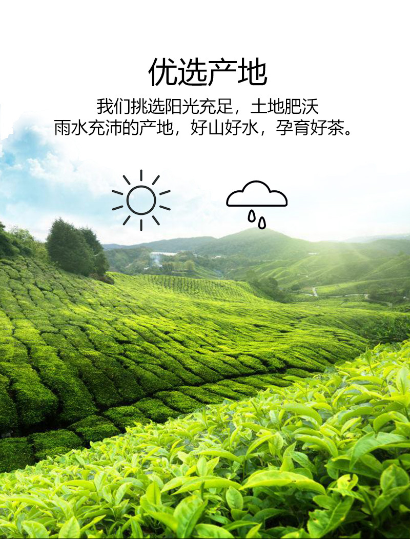 茉莉绿茶引流详情页_10