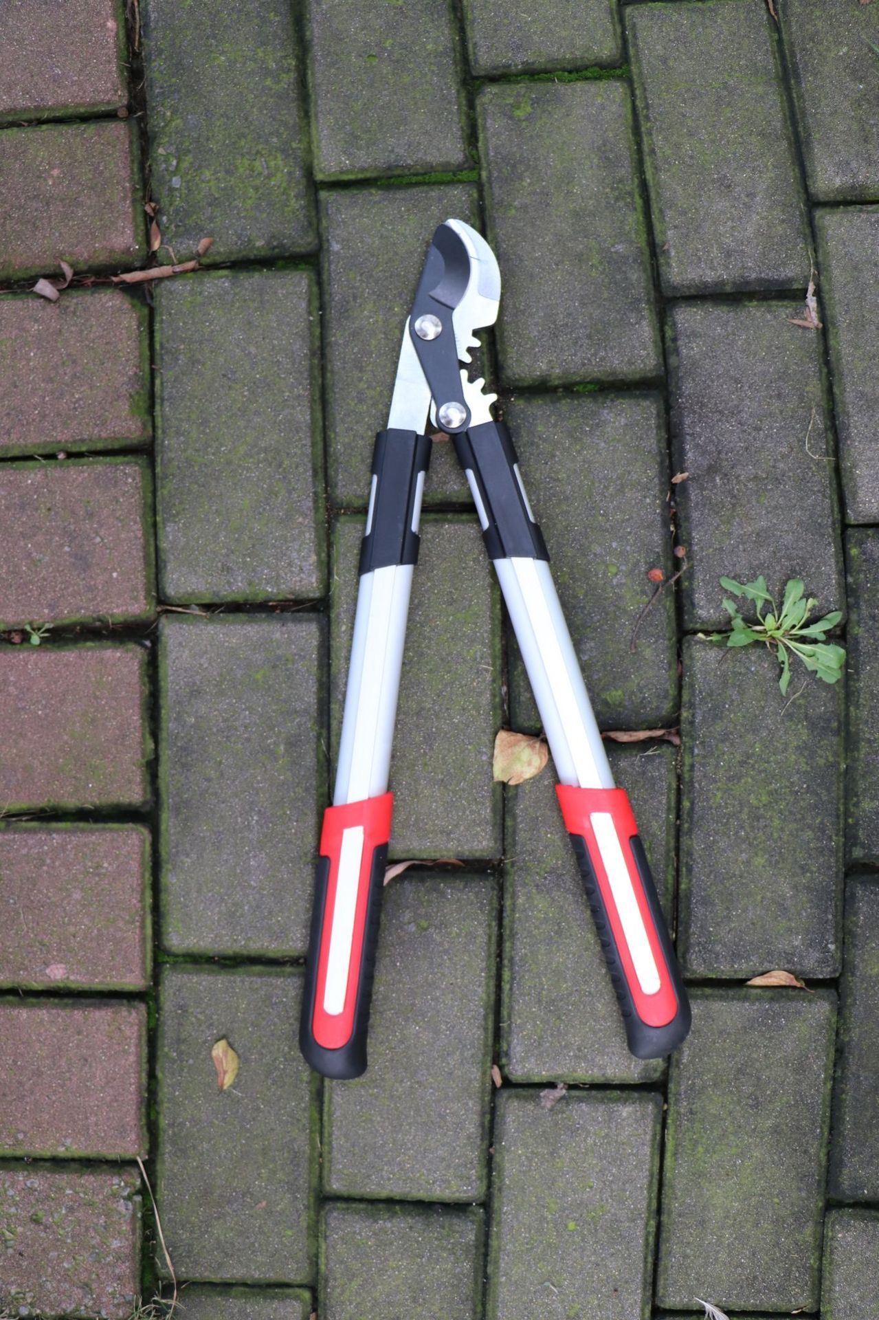 기계식 소형 킹콩 상어 입 (50cm)