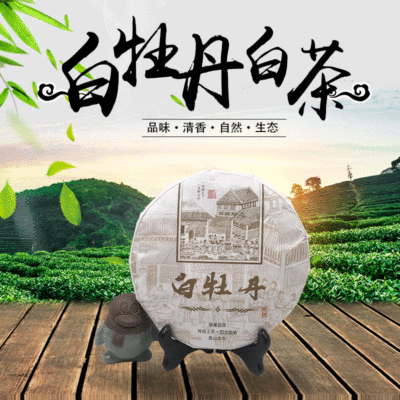 白牡丹茶叶高山生态白茶叶日晒高山白茶饼福鼎大白茶叶农产品批发