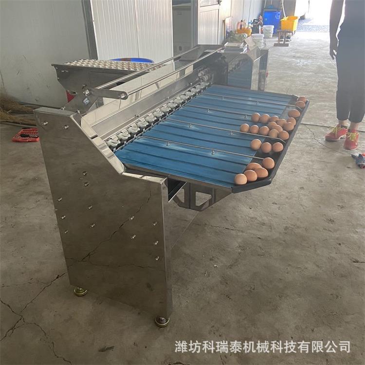 máquina de clasificación de huevo huevo pato huevo equipo de clasificación automática de tamaño