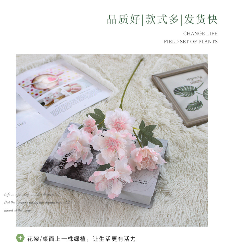 详情页：颜色板块_02