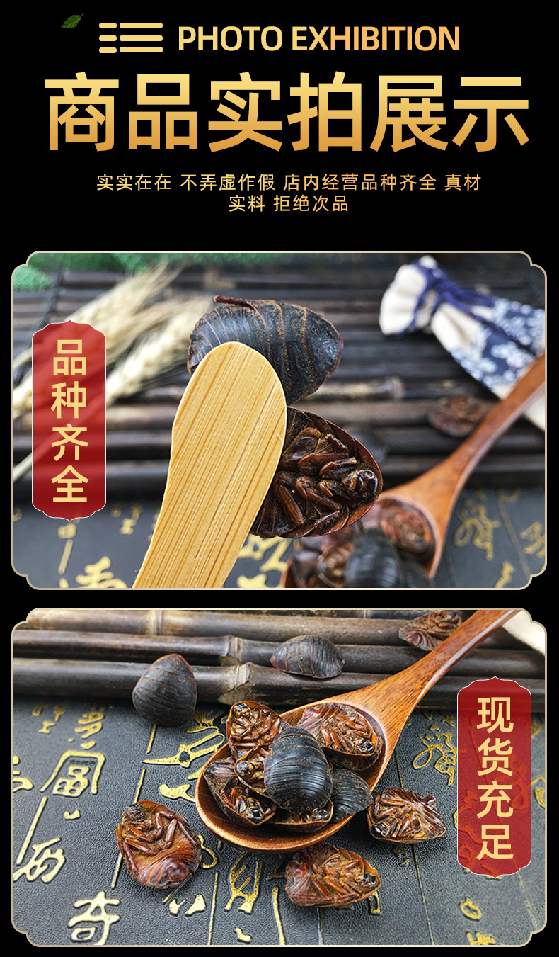 Dried Ground Beetle Tu Bie Chong Whole Insect Traditional Chinese Herb Bulk Dried Decoction Ingredient in use