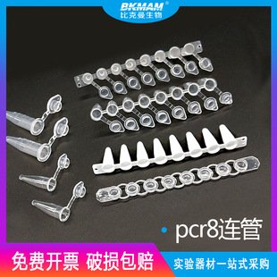 �ȿ��� pcr8�B�� ���� �ι��͸ߜظ߉��x�Ĺ��Ź܎�ƽ�w