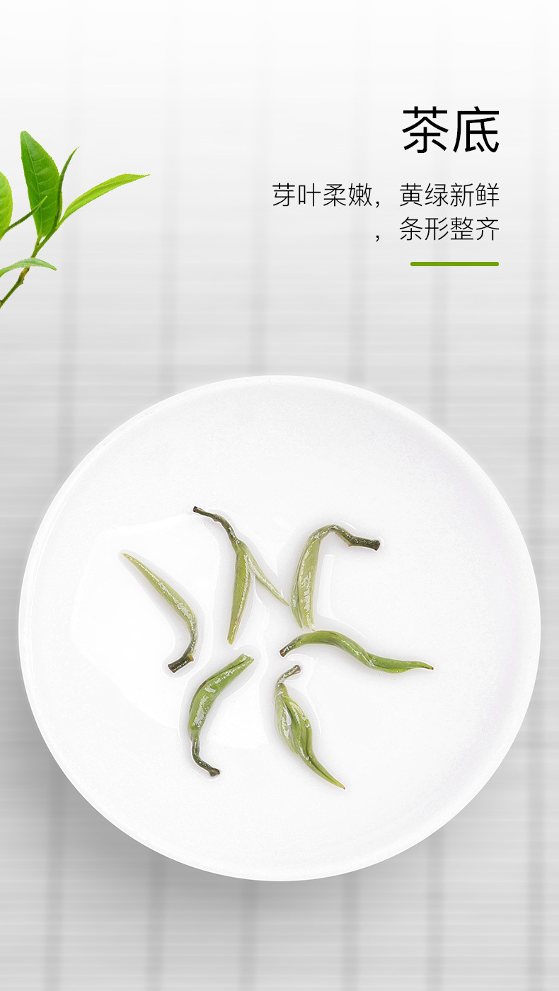 绿茶(碧螺春)_05