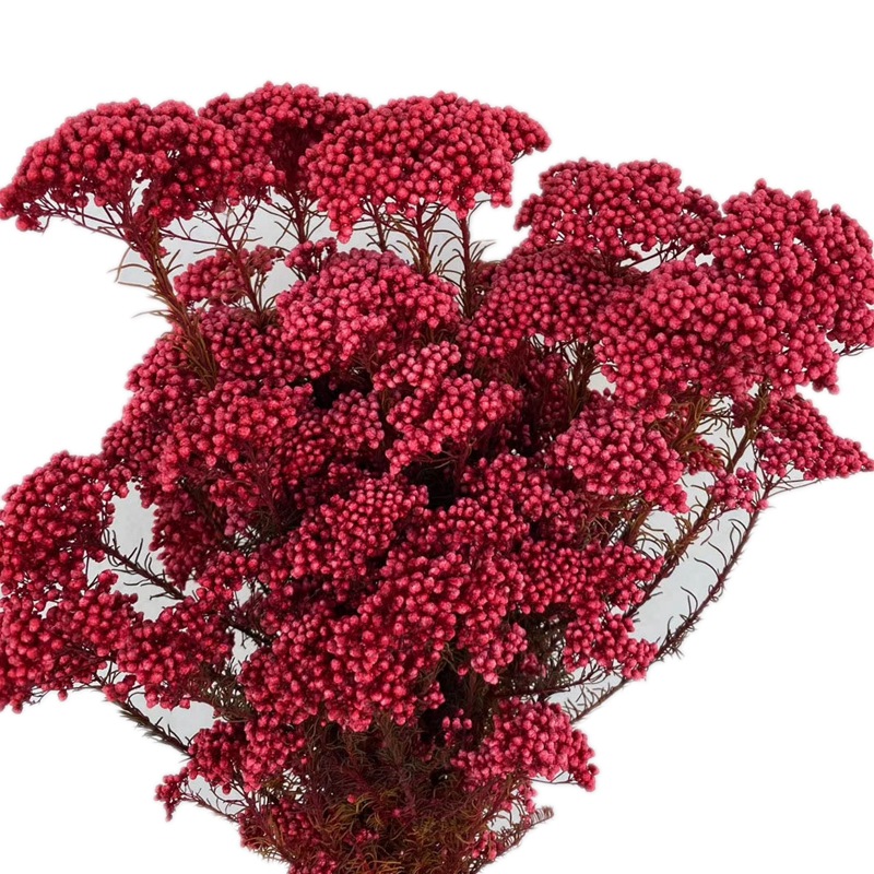 微信图片_20200408183257