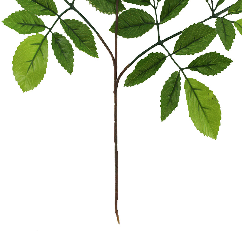 XRB-109 榆树叶三叉枝 (3).jpg